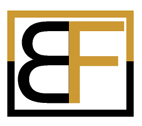 Bota Fintech Logo